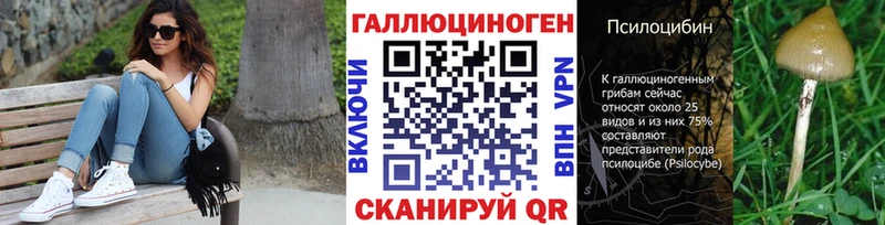 купить наркоту Конаково Галлюциногенные грибы прущие грибы